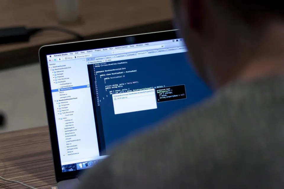 软件开发与交付场景：Coding Programming